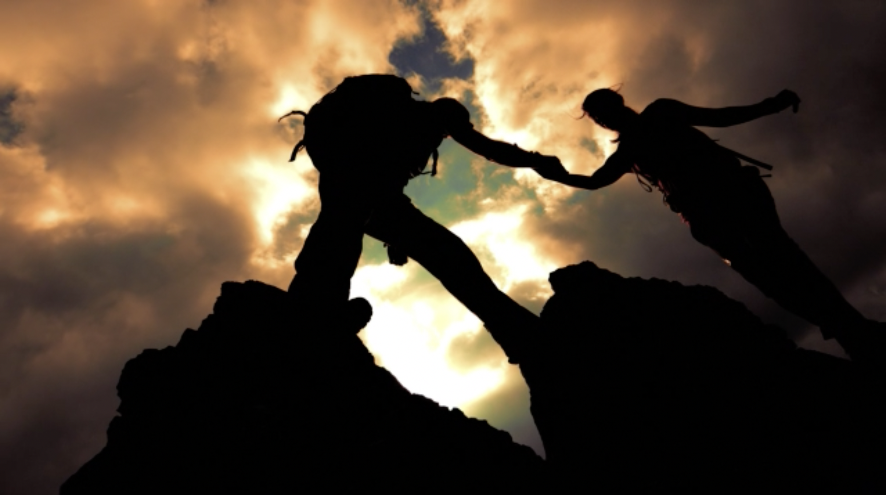 BRAND PURPOSE [ ブランドパーパス ]